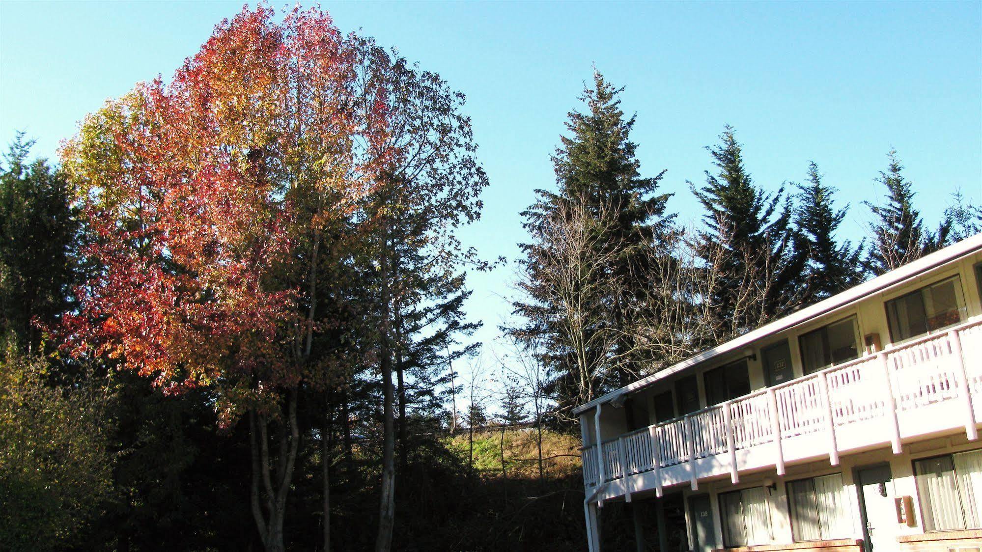 Motel Puyallup Ngoại thất bức ảnh